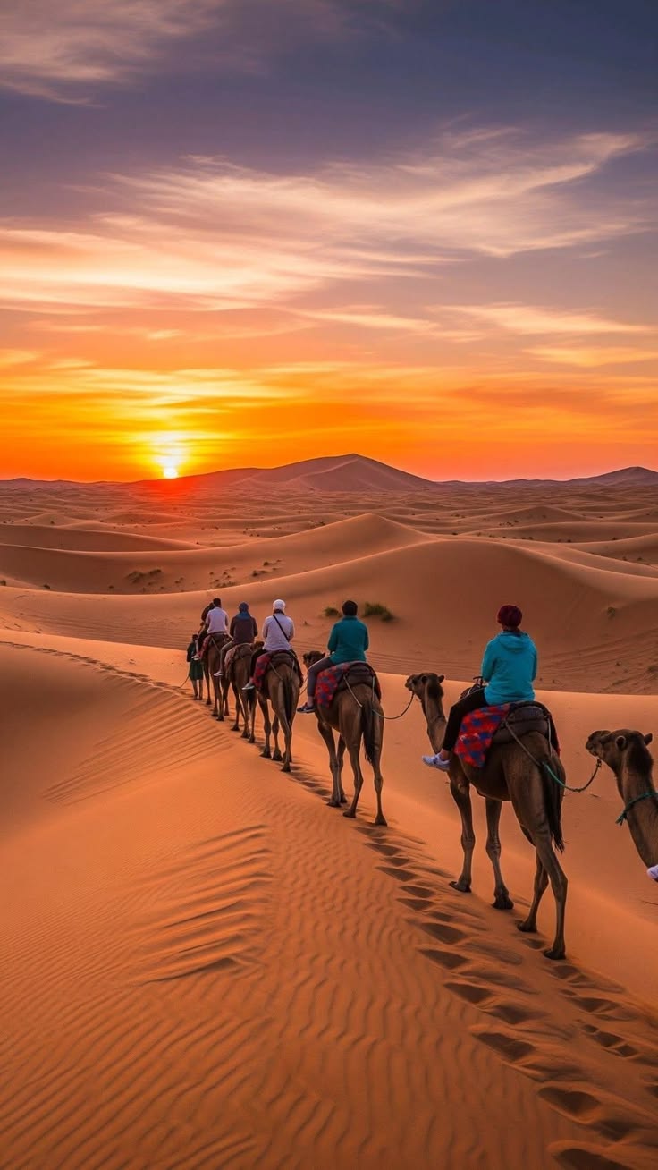 Camel caravan winding over the orange dunes of Erg Chebbi